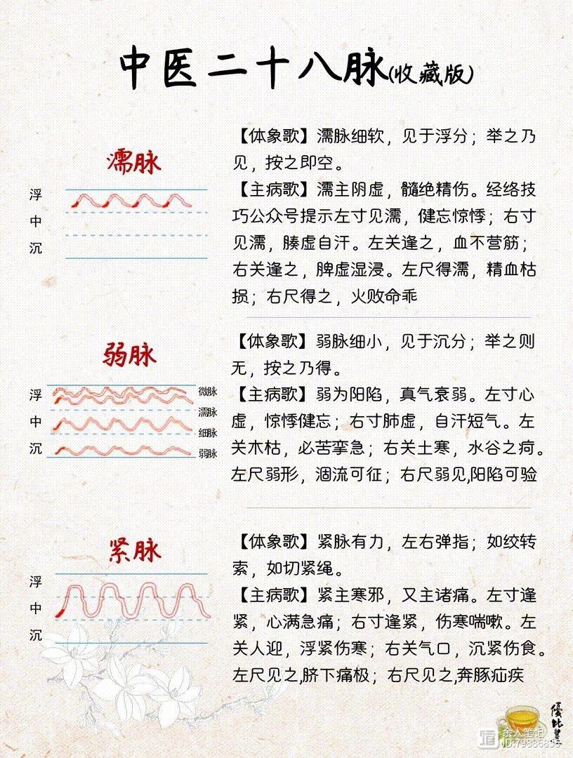 中医二十八脉，详细图解和介绍，养生干货