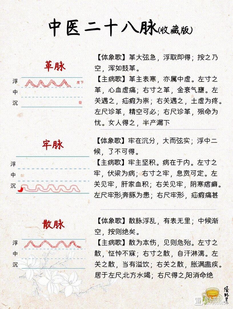 中医二十八脉，详细图解和介绍，养生干货