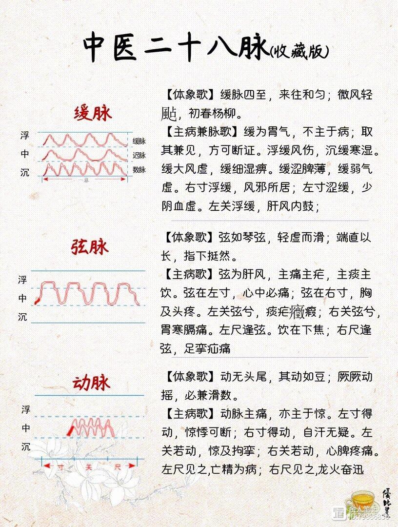 中医二十八脉，详细图解和介绍，养生干货