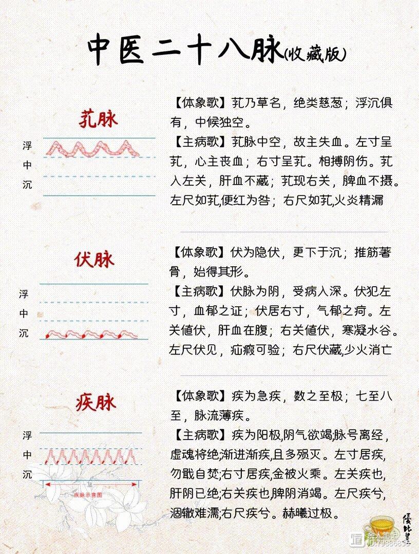 中医二十八脉，详细图解和介绍，养生干货