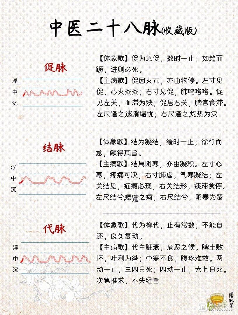 中医二十八脉，详细图解和介绍，养生干货