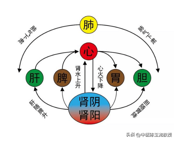 冠心方 瓜蒌实15克丹参30克红花15克细辛3克薤白15克檀香1