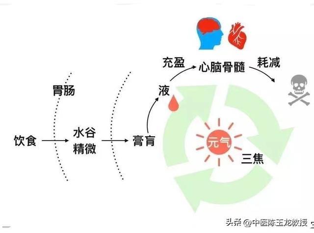 冠心方 瓜蒌实15克丹参30克红花15克细辛3克薤白15克檀香1