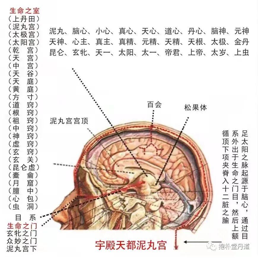 泥丸脑心命门咏（二十一）