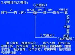 中医基础理论第34讲血精津液(一)：概念精气血津液失常