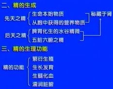 中医基础理论第34讲血精津液(一)：概念精气血津液失常