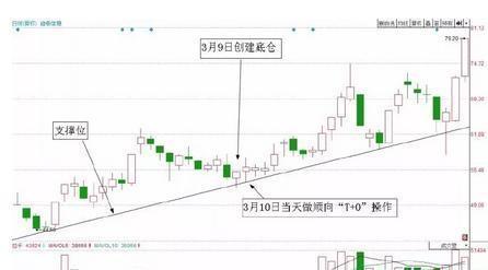 北大一女博士说破股市: 长期持有一只股票反复做T, 民都能变富翁