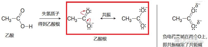 有机化学知识点13-（酸强度的决定因素-3）