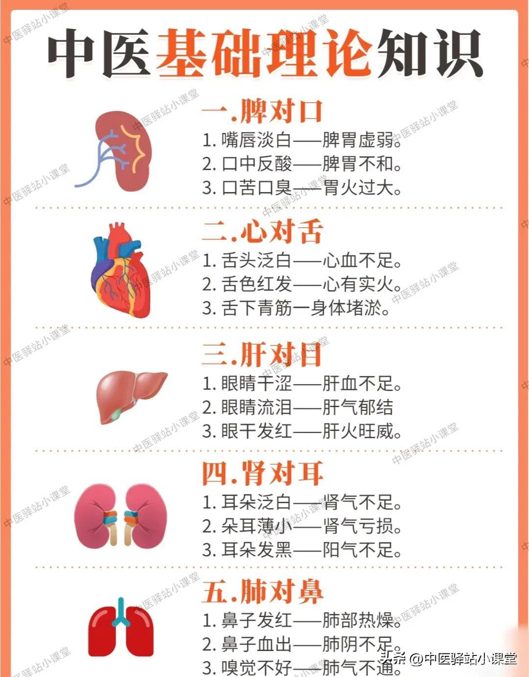 中医基础理论知识小讲堂一.脾对口1.嘴唇淡白