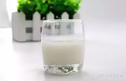 晚上空腹喝牛奶好吗_早上喝牛奶好还是晚上喝牛奶好_空腹喝牛奶好吗