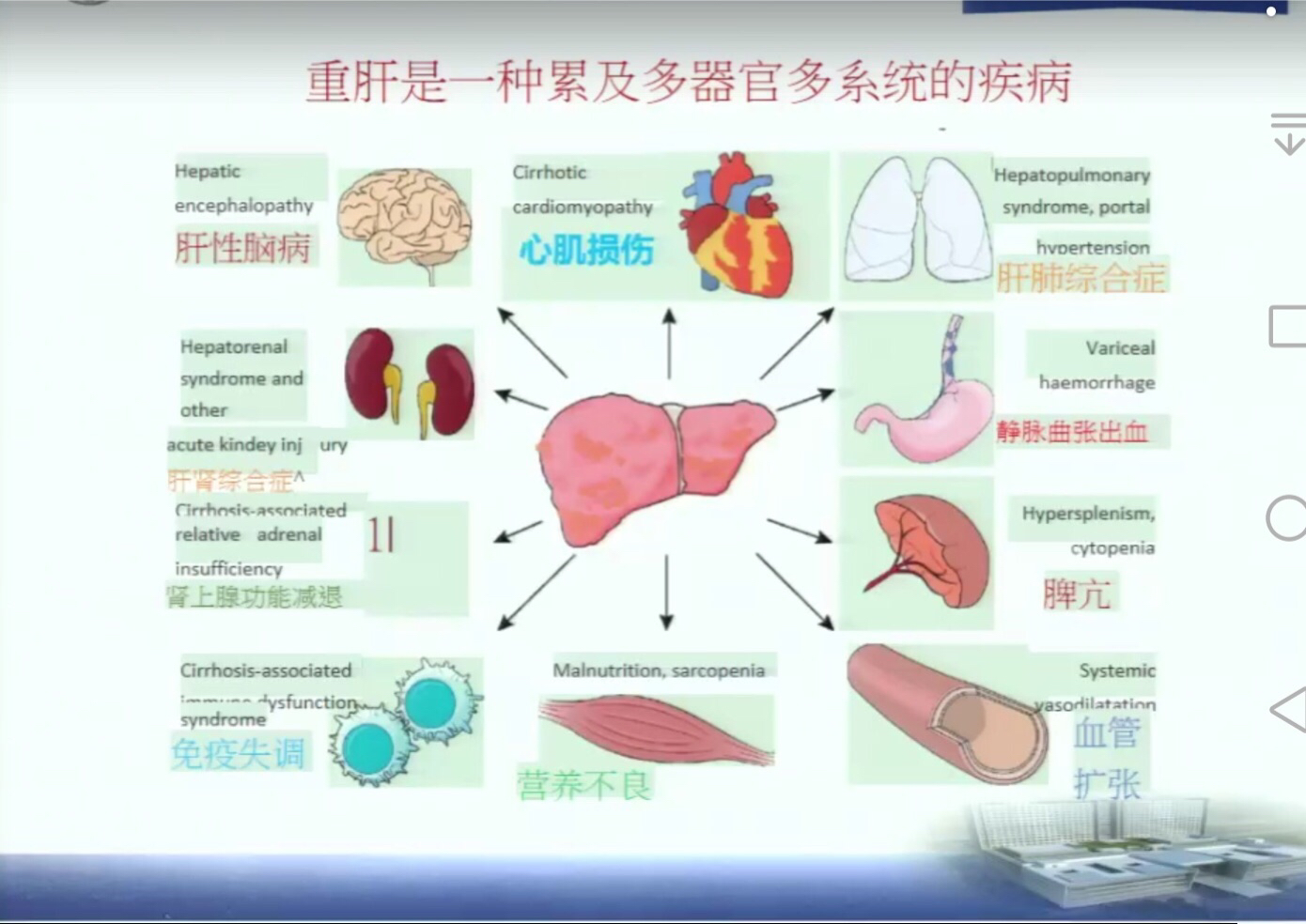 肝出血_肝出血是什么引起的_肝出血怎么办