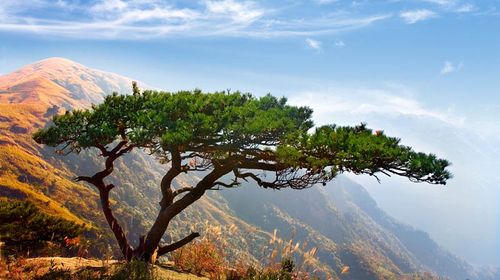 江西旅游景点介绍_江西景点介绍_宿迁旅游年卡景点介绍