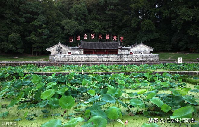 福建旅游十大景点_福建省旅游景点_福建景点大全景点