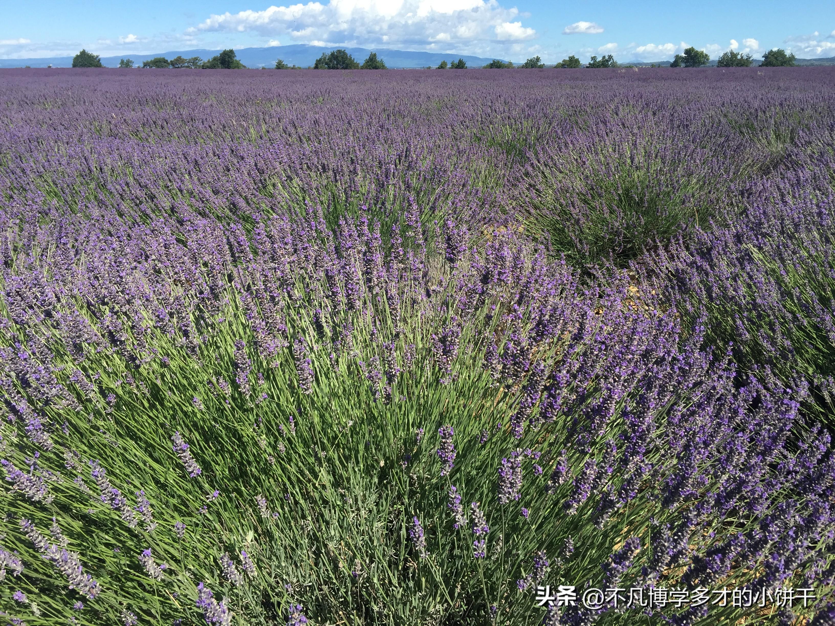 旅游攻略 线路 西藏_开平碉楼东莞线路 旅游_法国旅游线路