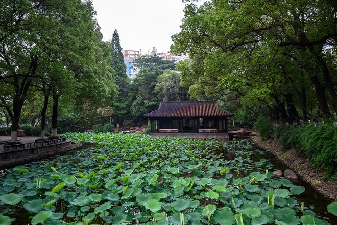 江阴旅游_江阴青阳和江苏康辉合作大手笔托管营销旅游_江阴华西村旅游攻略