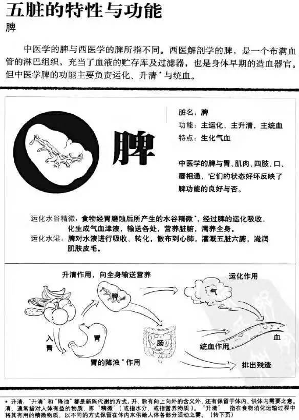 中医四季养生冬季养生_中医脾胃养生保健_程凯经络脾胃养生视频