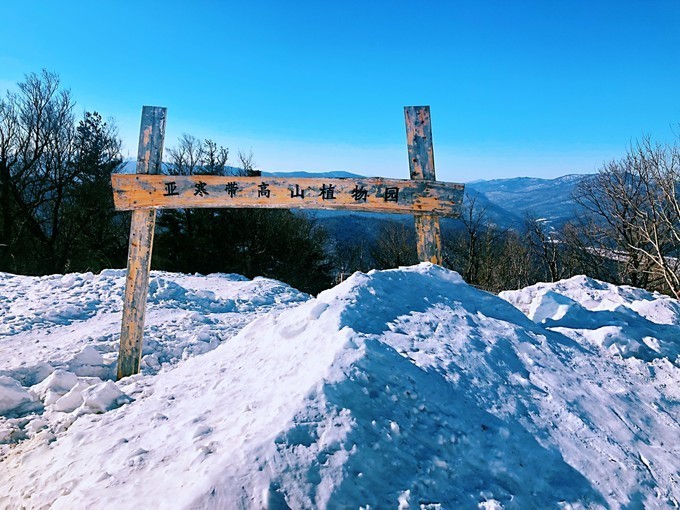 哈尔滨去苏杭旅游跟团要多少钱_哈尔滨旅游团_沈阳到哈尔滨旅游跟团