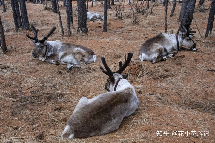 田晓晋从葱包桧儿说起：“最杭州”风物^^^自驾穷游锦囊：江南_旅游网重庆夕阳红西北之旅十曰游_西北自驾游