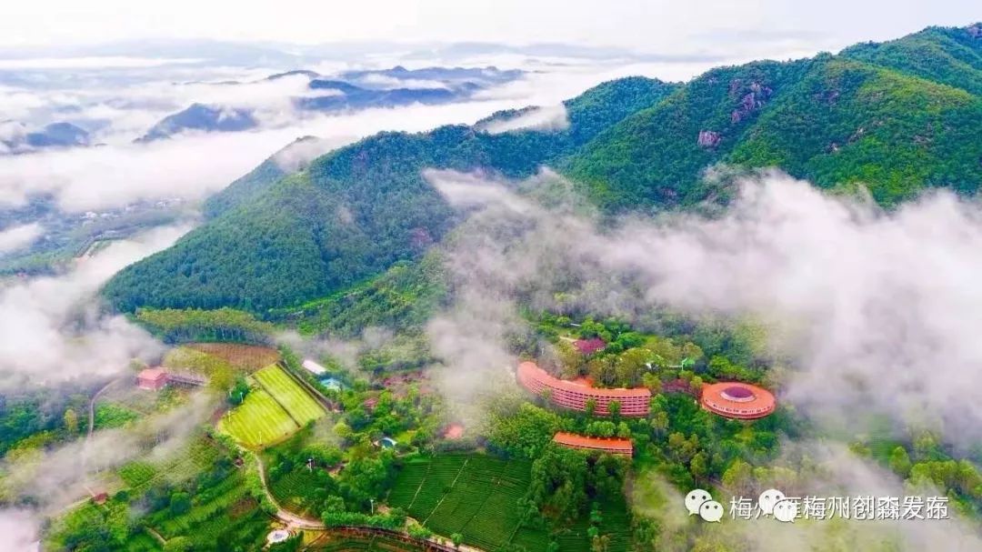 广东省人民检察院_广东好快省汽车服务有限公司_广东省旅游景点