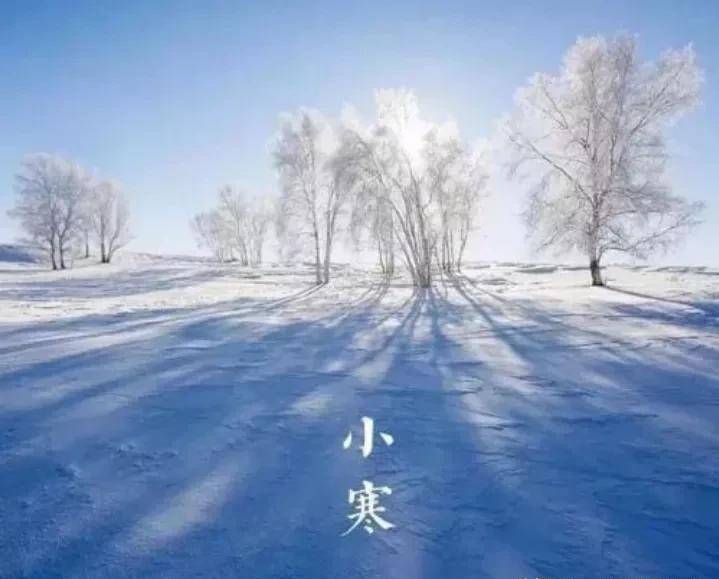 明日小寒，俗语“小寒雪淋头，瓮里米生虫”啥意思？原因是什么？