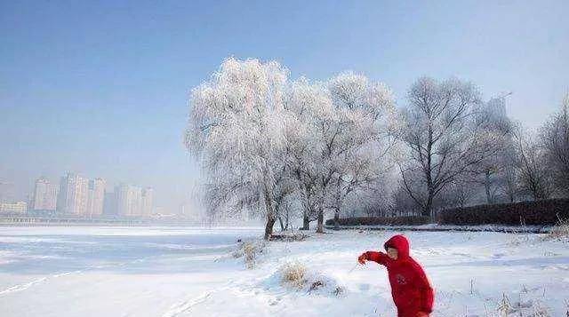 明日小寒，俗语“小寒雪淋头，瓮里米生虫”啥意思？原因是什么？