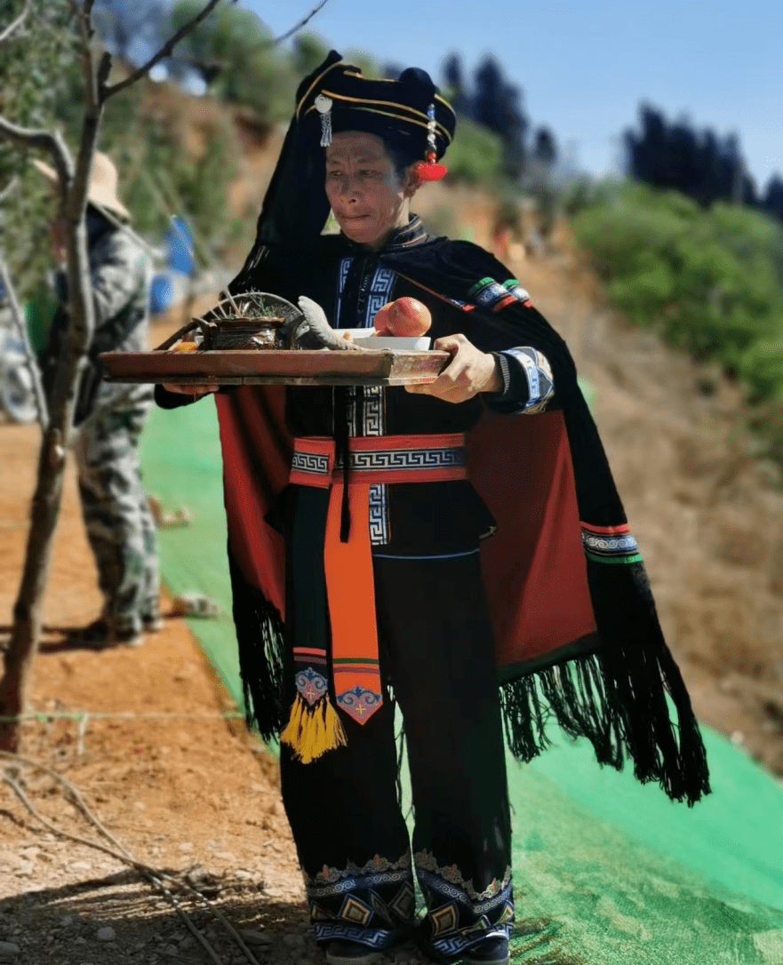 约起来！这个离昆明最近的千年古茶山有花、有烤鸭、还有山歌……