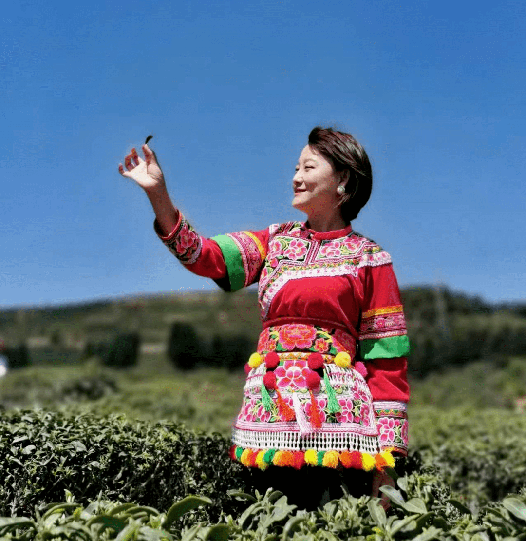 约起来！这个离昆明最近的千年古茶山有花、有烤鸭、还有山歌……