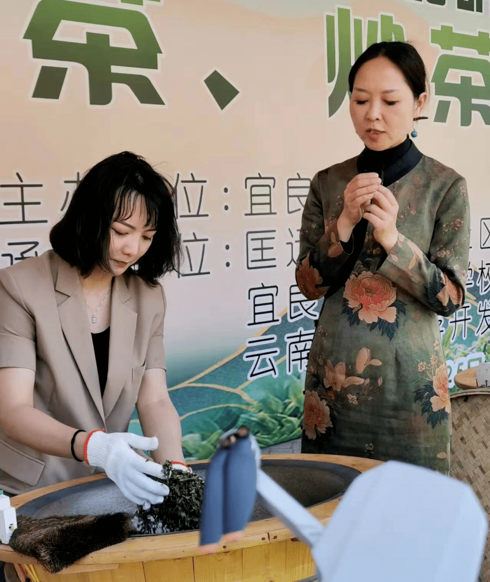 约起来！这个离昆明最近的千年古茶山有花、有烤鸭、还有山歌……