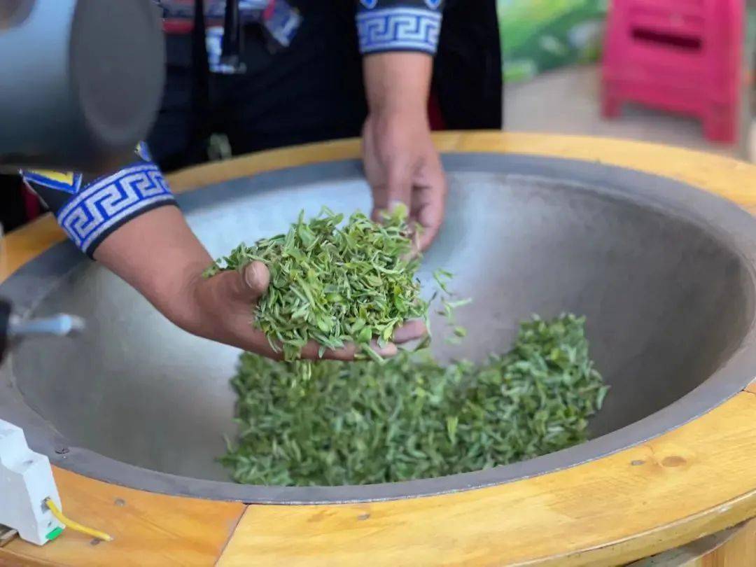 约起来！这个离昆明最近的千年古茶山有花、有烤鸭、还有山歌……