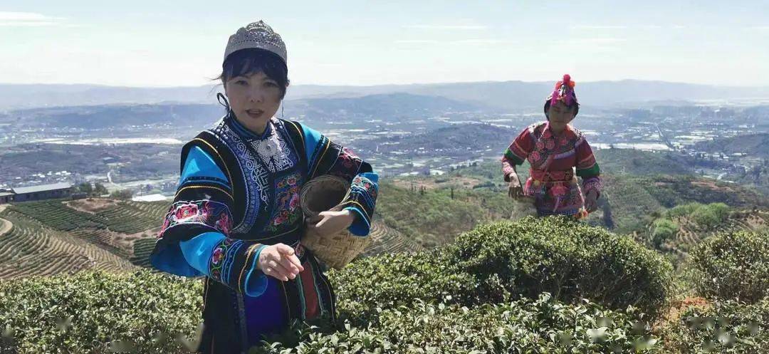 约起来！这个离昆明最近的千年古茶山有花、有烤鸭、还有山歌……