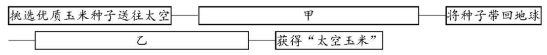 2023届高三湖北十一校第二次联考语文试题