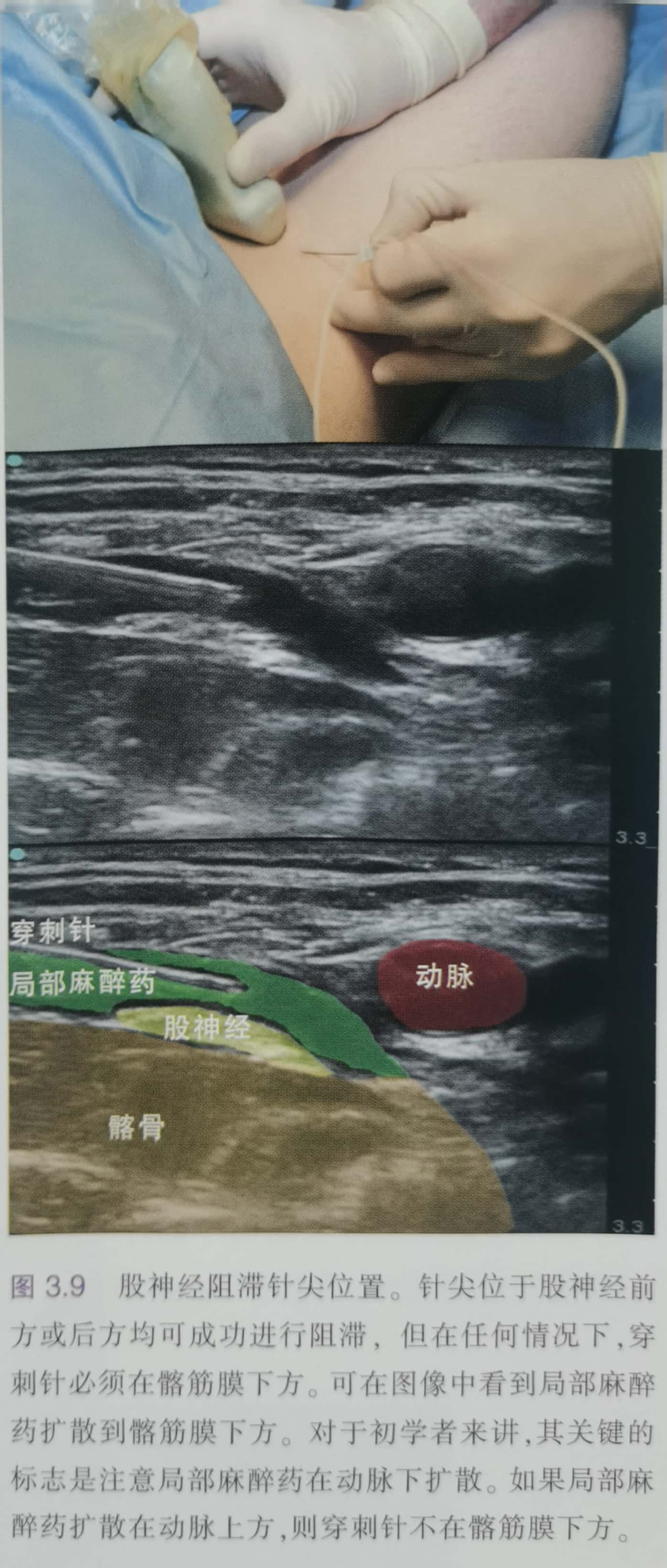 神经股份股票价格_股神经_神经股份股票