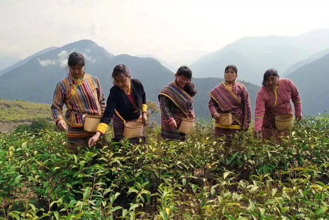 墨脱旅游_墨脱旅游最佳季节_墨脱旅游攻略