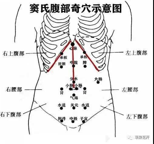 秘法公开窦氏古法脏腑点穴（四）入门指南