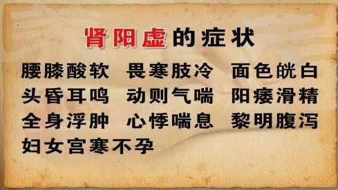 心阳虚气短，脾阳虚拉稀，肾阳虚多尿：看看你到底哪里虚