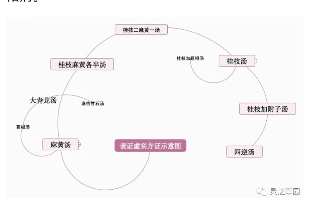 跟马家驹老师学经方（25）-太阳病篇总结串讲