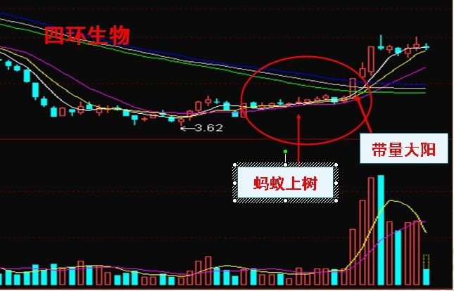 李易天：牛股必涨形态(全）