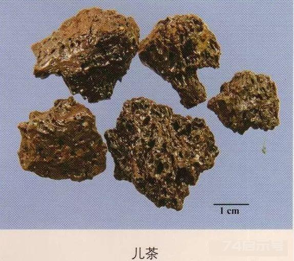 200味中药彩图谱，带图带功效，让你秒懂中药材！