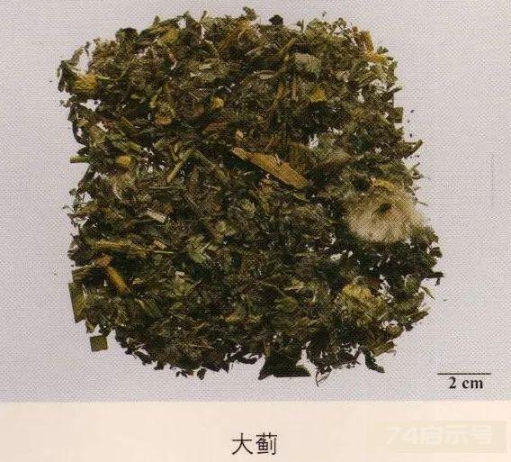 200味中药彩图谱，带图带功效，让你秒懂中药材！