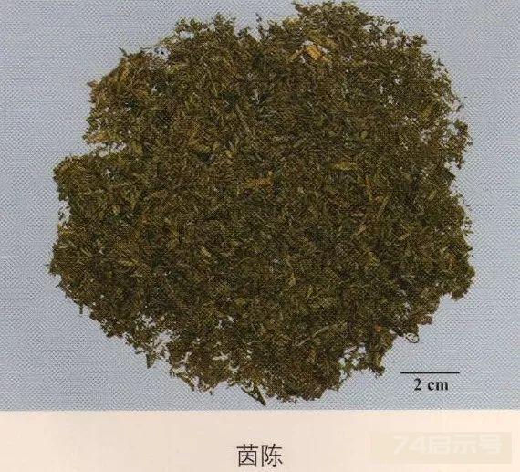 200味中药彩图谱，带图带功效，让你秒懂中药材！