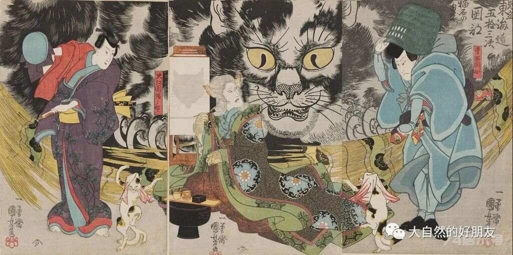 怪谈 | 日本妖猫（化け猫）的来源与“猫騒动”传说