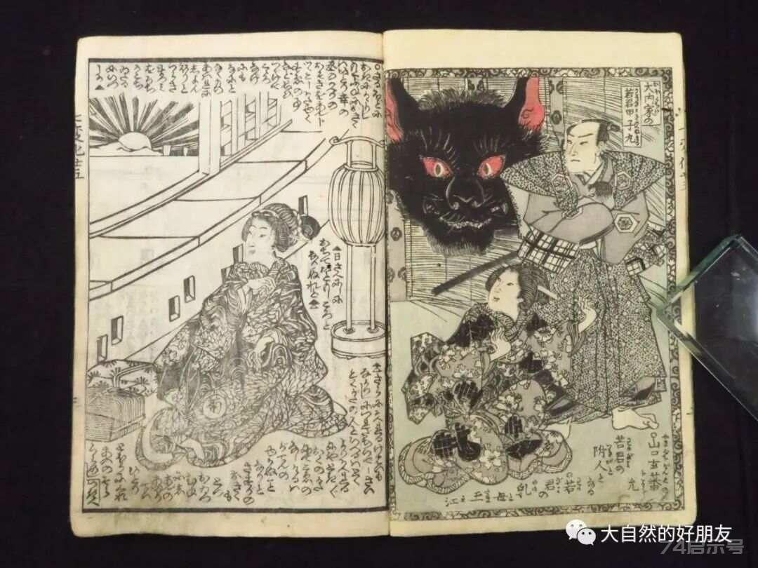 怪谈 | 日本妖猫（化け猫）的来源与“猫騒动”传说